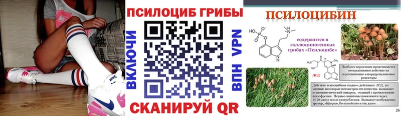 дарнет шоп  Карабаново  Галлюциногенные грибы мицелий 